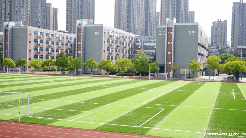 苏州胥江实验中学安装使用操场定向音响