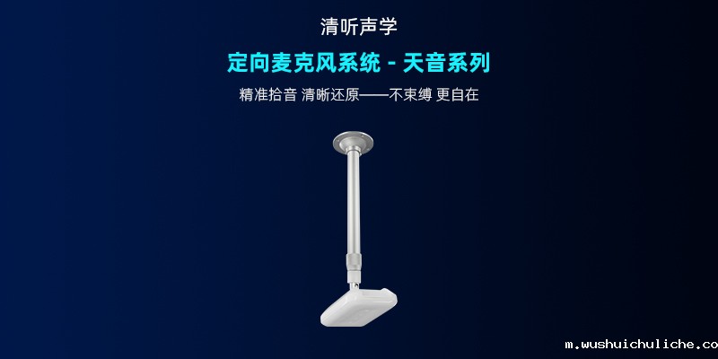 伟德竞彩网App，定向麦克风系统-天音系列