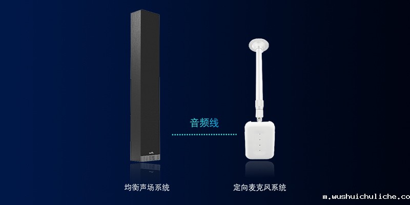 定向麦克风系统可与均衡声场系统适配