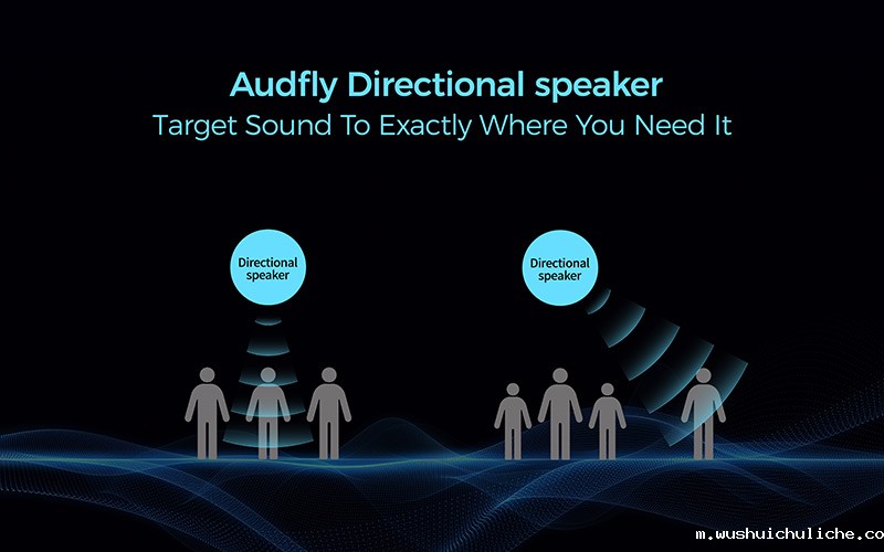 定向发声示意图