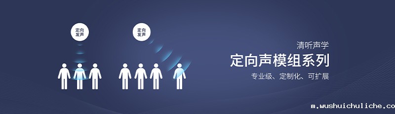 伟德竞彩网App定向声模组系列