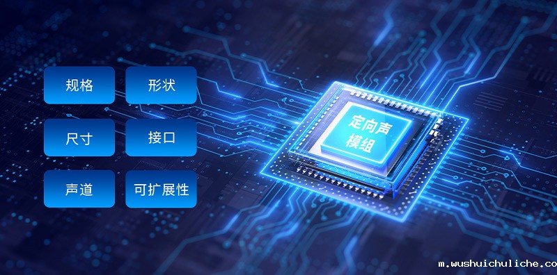 伟德竞彩网App提供定向声模组多样化定制选项