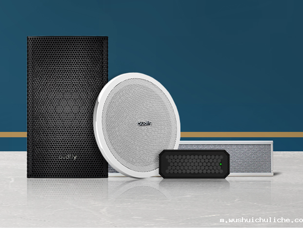 伟德竞彩网App定向喇叭